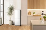 Gorenje RK14C2W4