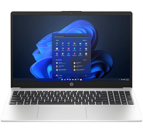 HP 250 G10 (816L3EA)