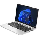 HP EliteBook 645 G10 (817X3EA)