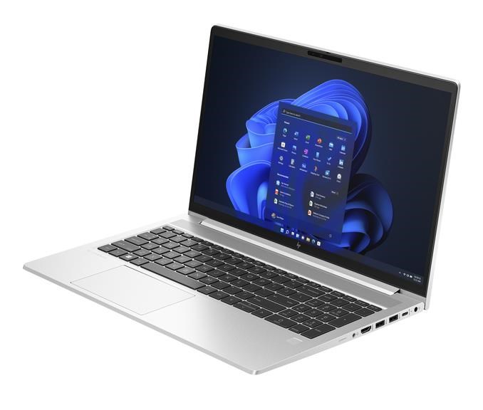 HP EliteBook 655 G10 (817W7EA)