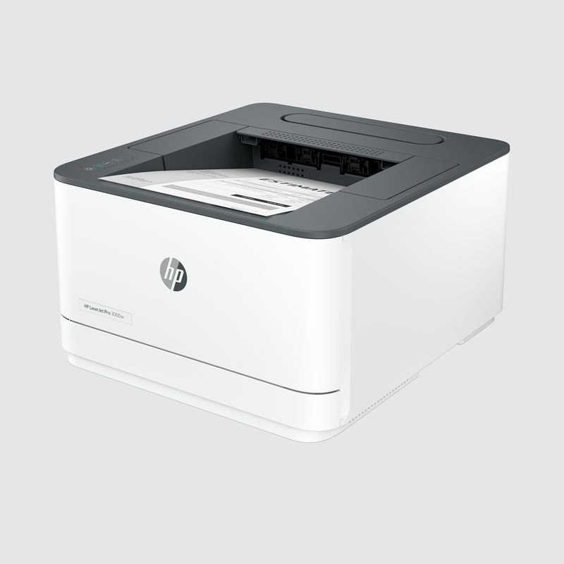 HP LaserJet Pro 3002dn (3G651F)