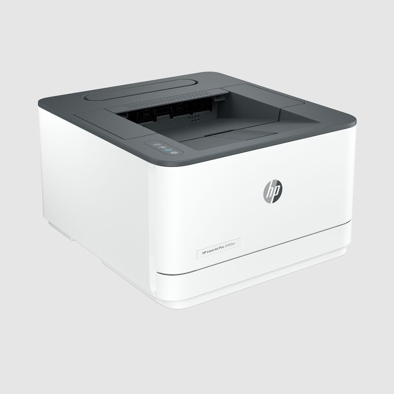 HP LaserJet Pro 3002dw (3G652F)
