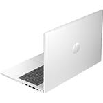 HP ProBook 455 G10 (9Y703AT)