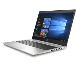 HP ProBook 455 G7 (12X19EA)