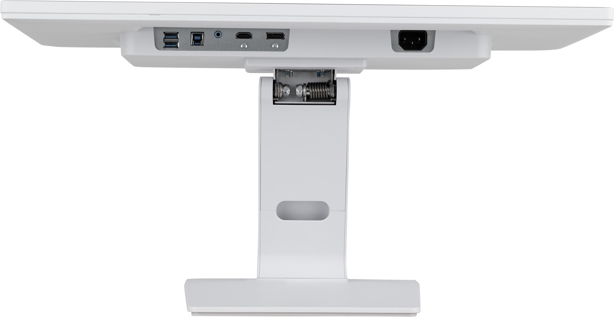 iiyamaT2452MSC-W2AG