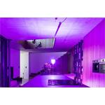 Immax NEO LITE Smart pásek LED 5m, RGB, CCT, barevný, stmívatelný, wifi IP67