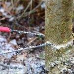 Kapesní řetězová pila Nordic Pocket Saw - Green