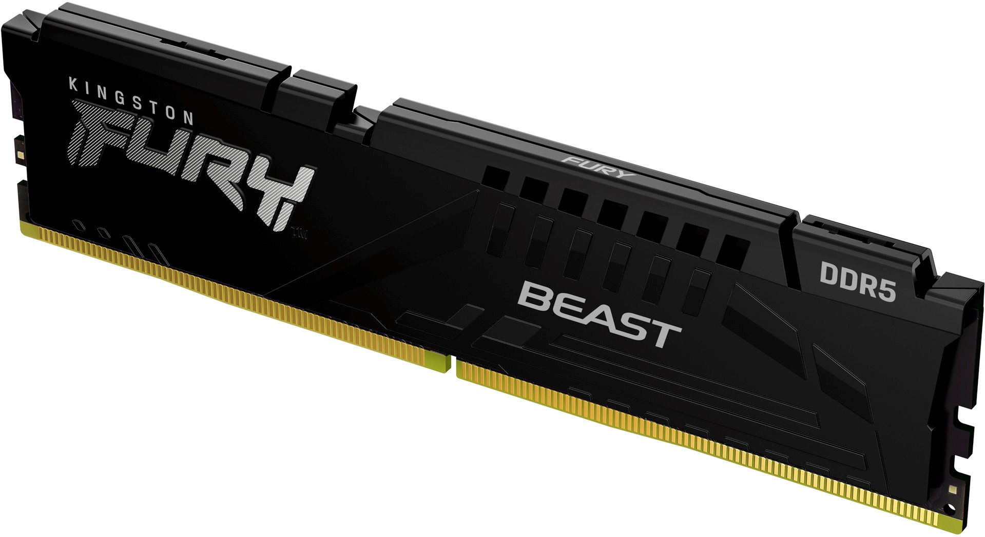 Kingston Fury Beast DDR5 32GB 6000MHz CL30 EXPO černá (Kit 2x16GB)
