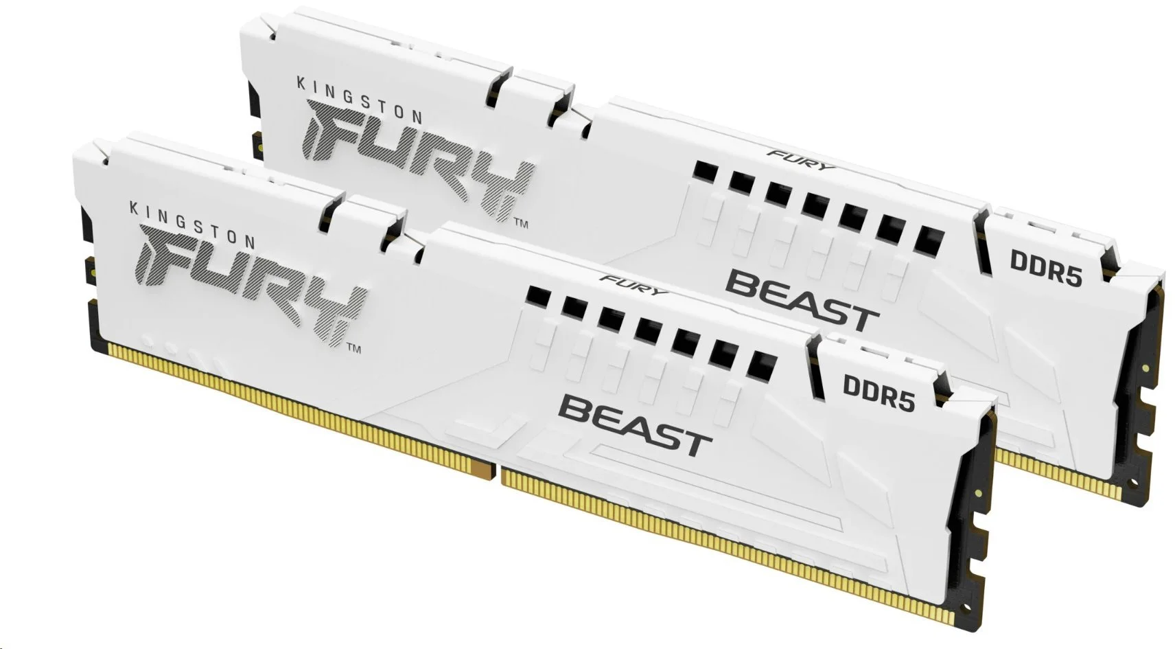 Kingston Fury Beast White DDR5 DIMM 32GB 6000MHz, AMD EXPO, biela (sada 2x 16GB)