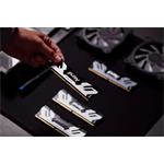 Kingston Fury Renegade Silver CUDIMM DDR5 24GB 8400MHz CL40 XMP