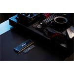 Kingston SSD Fury Renegade 4TB NVMe SFYRD/4000G