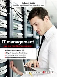 Kniha IT management