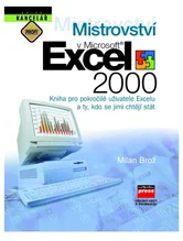 Kniha Mistrovství v Excel 2000