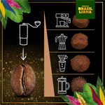 Kosatka modrá Brazilliana Toucano