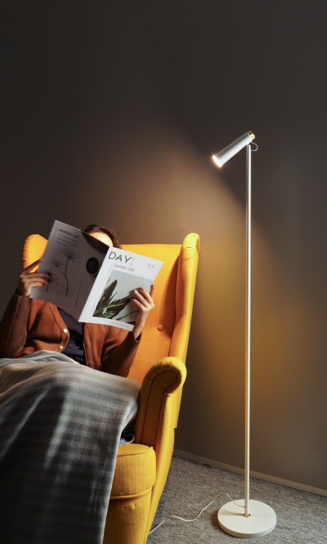 LED stojacia lampa Immax TIT, biela so striebornými prvkami, CCT