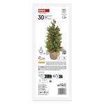 LED svítící stromek, 50 cm, venkovní i vnitřní, teplá bílá, časovač