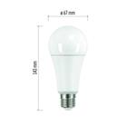 LED žárovka Classic A67 19W E27 teplá bílá