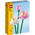 LEGO Botanicals Lotosové kvety 40647