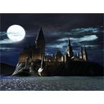 LEGO Harry Potter 1-4