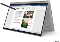 Lenovo IdeaPad Flex 5 14ARE05 (81X200HFCK)