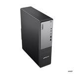 Lenovo ThinkCentre Neo 55s G6 SFF (13G0002ACK)