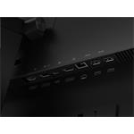 Lenovo ThinkVision P24h-2L + MC50 23,8" (62D8GAT1EU)