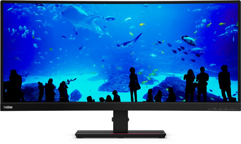 Lenovo ThinkVision T34w-20 34" (61F3GAT1EU)