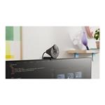 Logitech Brio 300 - Graphite