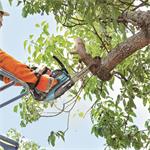 MAKITA Aku řetězová pila 250 mm Li-ion LXT 18V,bez aku Z
