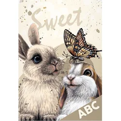MFP dosky na ABC Pets