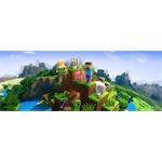 Minecraft 700 Tokens | Minecoins