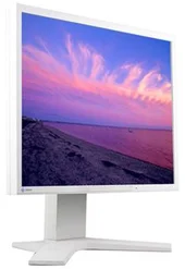 MO EIZO L568 17˝ LCD (White) 1280x1024/1000:1/15MS/DVI TCO03
