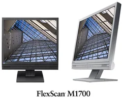 MO EIZO M1700 17˝LCD (White) 700:1/8MS/DVI/USB TCO03