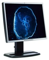 MO HP LCD L1955 19˝ Flat Panel (silver) Monitor