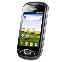 Mobilní telefon Samsung Galaxy mini (S5570) Steel Gray