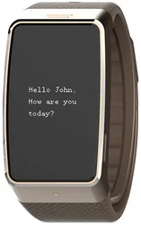 MyKronoz ZeWatch4 Gold/Brown