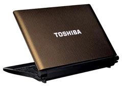 Netbook TOSHIBA NB500-112 10,1" LED, Atom N455, 1GB, 250GB,bez DVD, WiFi, CAM,W7S, hnědý