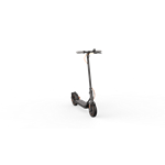 Ninebot by Segway® Kickscooter F40E