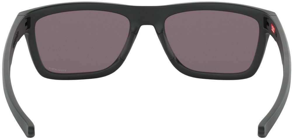 oakley monster dog ducati