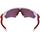 Oakley Radar EV Path Pol White w / Prizm Road