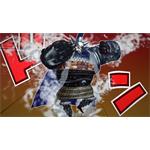 ONE PIECE BURNING BLOOD Gold Pack