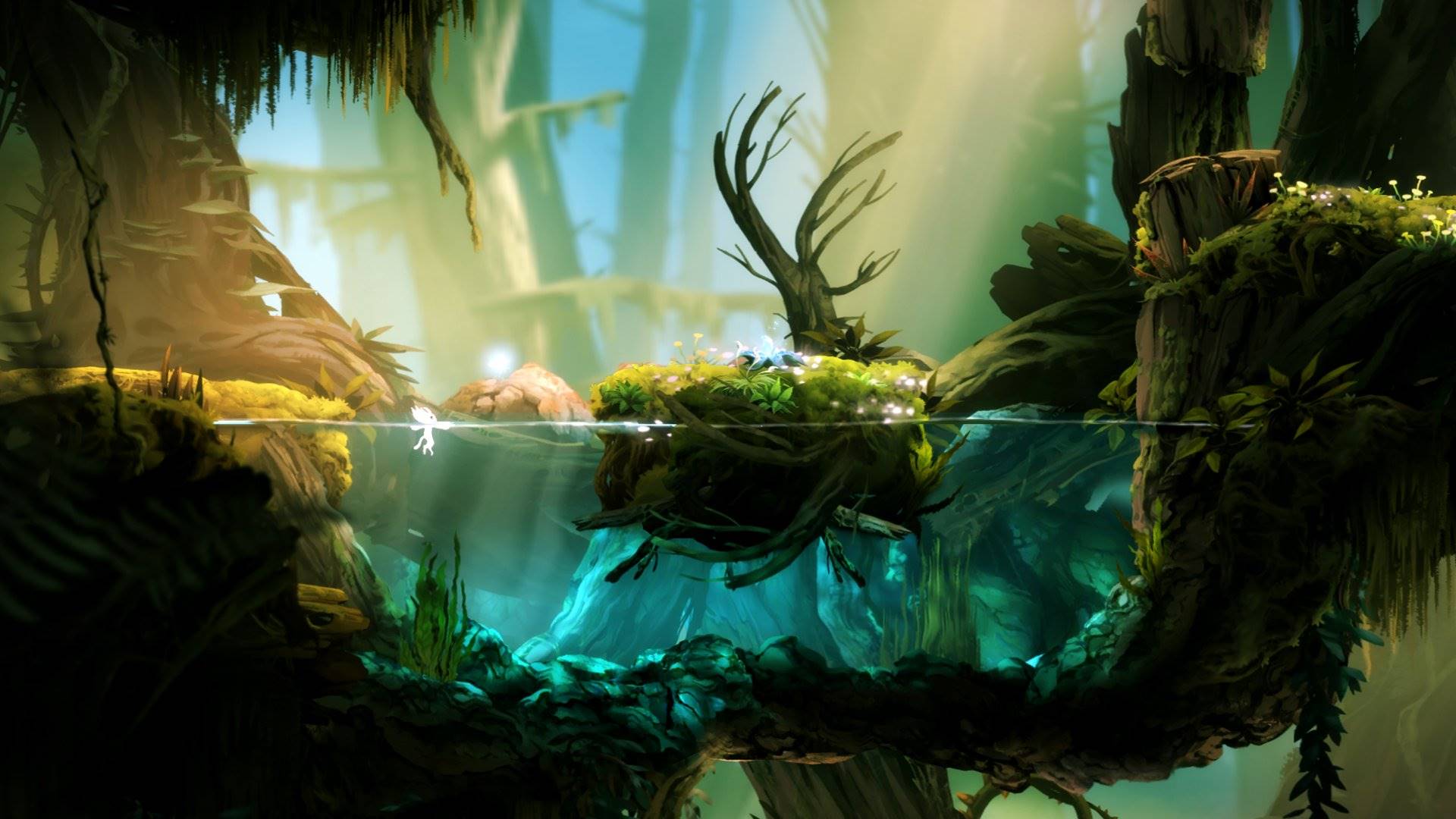 Ori and the Blind Forest Definitive Edition elektronická licencia