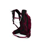 Osprey Raven 14 s rezerovárem, claret red