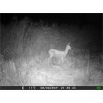 OXE Gepard II + 32GB SD karta zdarma