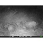 OXE Gepard II + 32GB SD karta zdarma