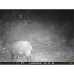 OXE Gepard II + 32GB SD karta zdarma