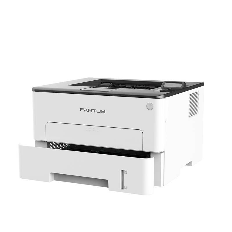 Pantum P3010DW