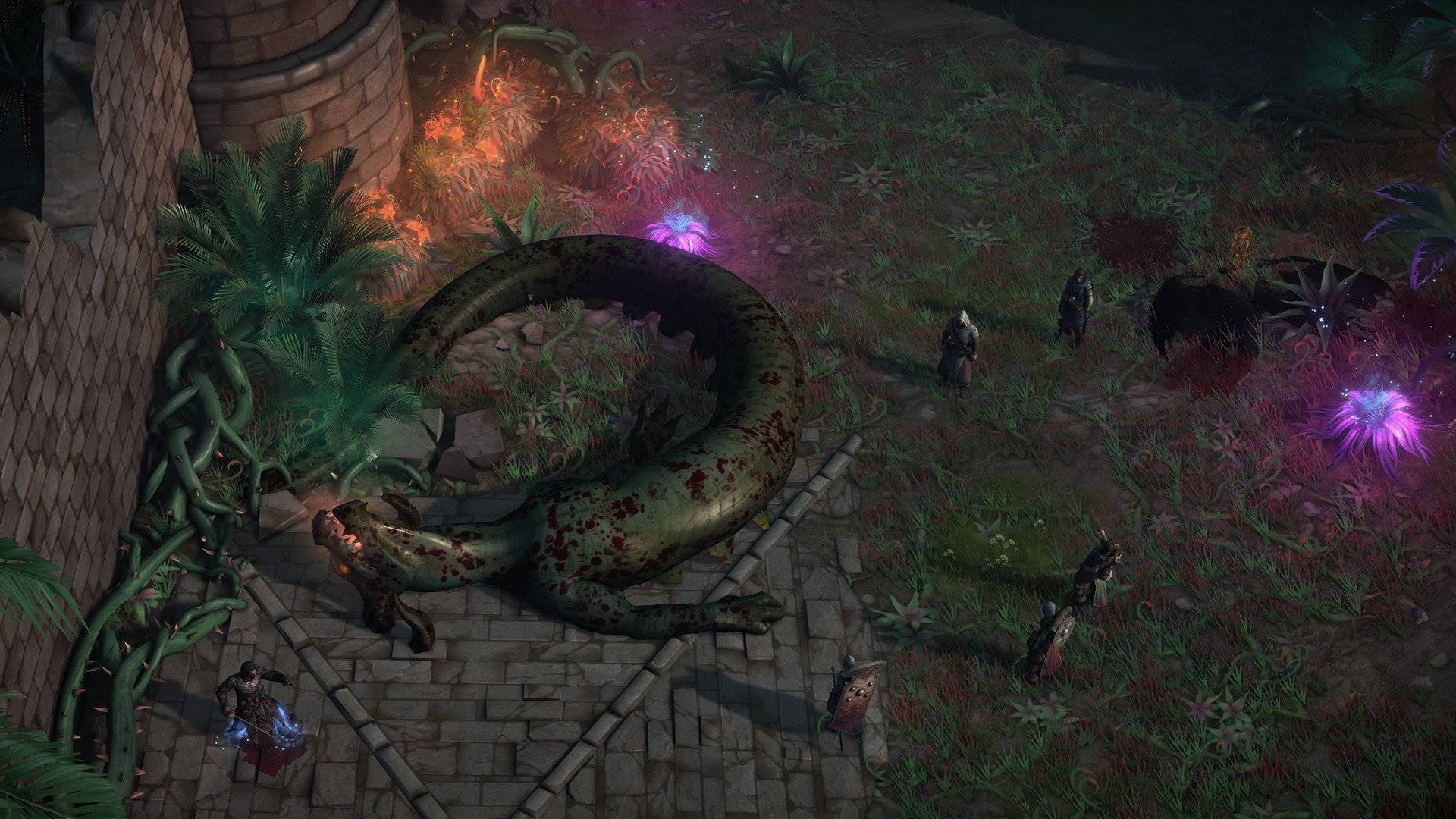 Pathfinder Kingmaker The Wildcards elektronická licence