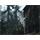 PC hra EXCLUSIVE Tom Clancy´s Ghost Recon Advan
