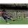 PC hra FIFA 08 Classic